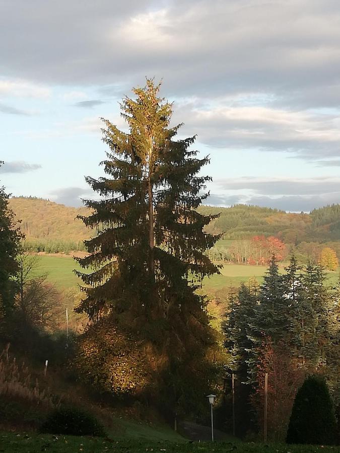 Ferienwohnung-In-Schoenster-Lage Baar  Esterno foto